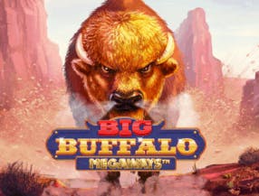 game logo by Skywind Group on voodoocasino.eu