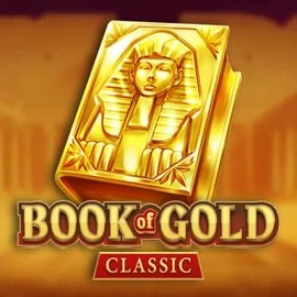 game logo by Playson on voodoocasino.eu