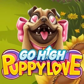 Go High Puppy Love casino game by RubyPlay – featured logo at VooDoo Casino