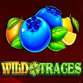 Wild Traces online slot from Amusnet Interactive – play at voodoocasino.eu